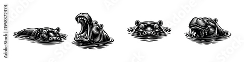 Black and white hippopotamus vector illustration, animal silhouette, wildlife art elements