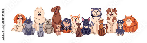 Group of different cats and dogs sitting together. Various breeds of kitties and puppies. Cute and funny kittens and pups. Amusing animals. Adorable pets. Flat isolated vector illustration on white