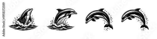 Vector dolphin illustrations jumping out of water in black and white silhouette style