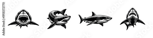 Shark illustrations black and white vector set oceanic animal silhouette art