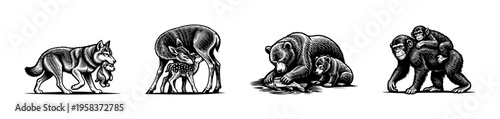Wildlife animal family illustrations in black and white silhouette style featuring wolf deer bear and chimpanzee