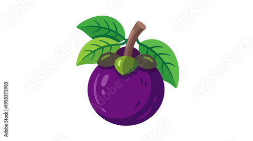 Vibrant Purple Mangosteen Fruit with Green Leaves.