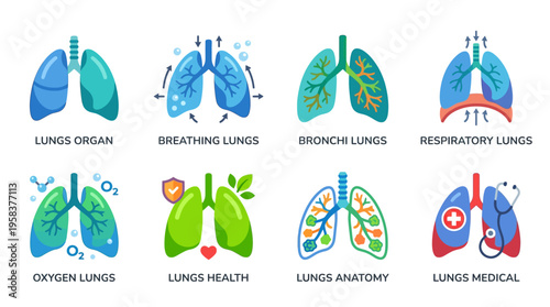 Vector illustrations of lungs organ breathing and respiratory system in various medical and healthy conditions on white background