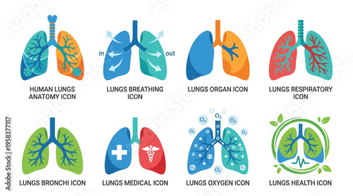 Vector illustrations of human lungs showcasing various anatomical and respiratory icons in a medical vector style for educational purposes in a health environment.