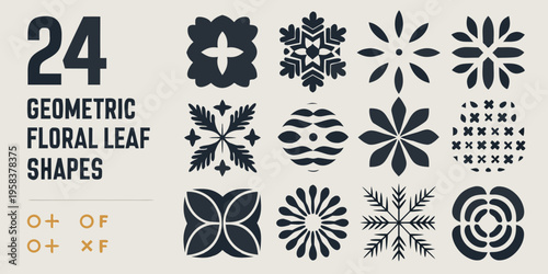 Geometric floral leaf shapes and number twenty four displayed in design