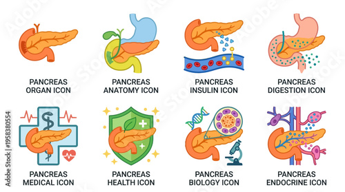 Vector illustrations of pancreas anatomy and health icons with various medical symbols and biology concepts in a colorful graphic design.
