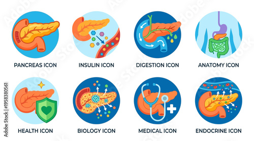 A collection of vector icons depicting human organs and medical symbols in a modern style for health and biology education purposes.