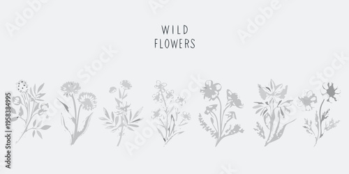 Delicate line art illustration of various wildflower species in grayscale