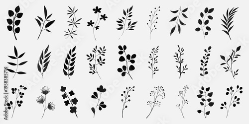 Collection of delicate black floral and leafy botanical illustrations