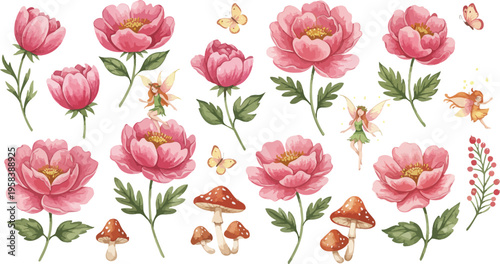 Pink peonies and mushrooms on white background with green leaves and stems