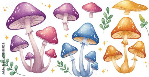 Colorful illustration of various mushrooms in different shapes and sizes with leaves on white background