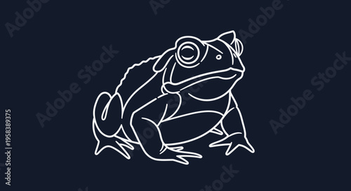 A minimalist white outline illustration of a frog against a dark blue background