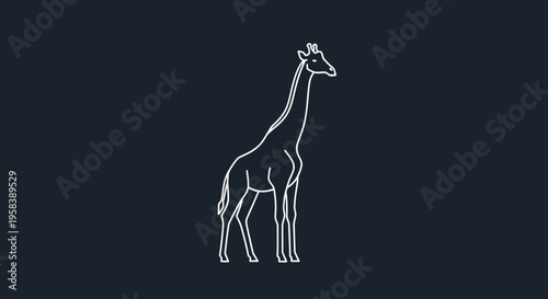 Minimalist line art illustration of a giraffe on a dark blue background