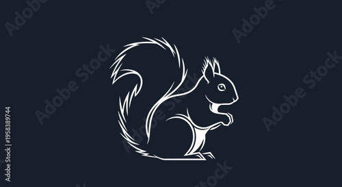 Minimalist white line art squirrel silhouette on a dark navy blue background perfect for graphics