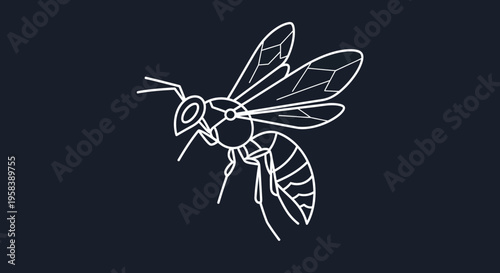 Minimalist white line drawing of a wasp on a dark blue background