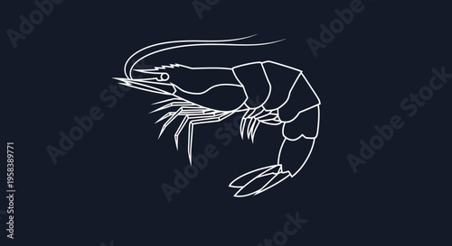 Minimalist white line drawing of a prawn on a dark blue background