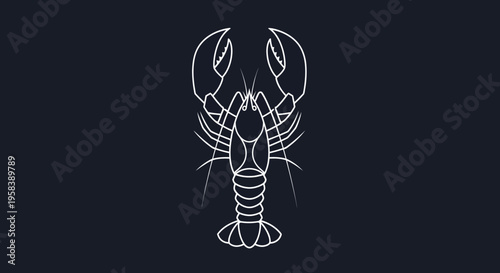 Minimalist white lobster outline illustration on a dark navy blue background