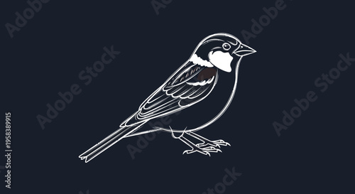 Minimalist white sketch of a small bird on a dark blue background vector illustration