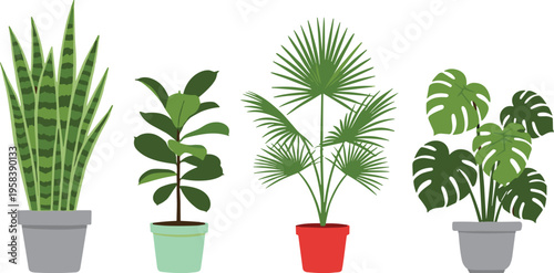 Vector Illustration Set of Four Potted Houseplants Featuring Snake Plant, Fiddle Leaf Fig, Fan Palm, and Monstera Deliciosa for Home Decor