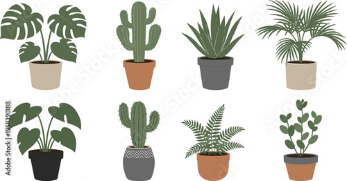 Vector Illustration Set of Potted Houseplants Featuring Monstera Deliciosa, Saguaro Cactus, Fern, Palm, and Aloe Vera for Interior Design Decoration