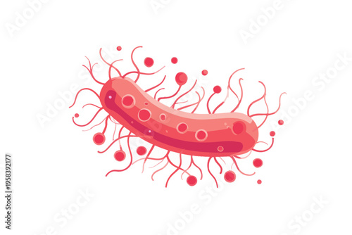 Detailed illustration of a single bacterium with flagella on white background