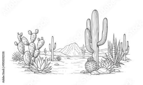 Hand drawn desert landscape with saguaro and prickly pear cacti cactus