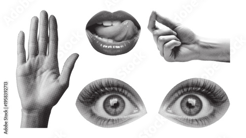 Cuadro en lienzo Set of retro halftone body parts