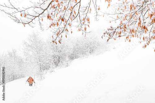Hiker in the mountain under snowstorm, Gran Paradiso national park