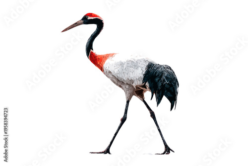 Elegant red-crowned crane standing on one leg in minimalist white background