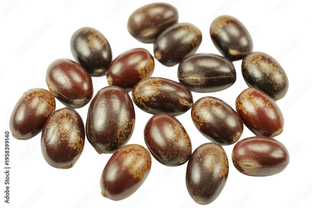 Obraz premium Jojoba seeds brown oval shiny isolated on a transparent background