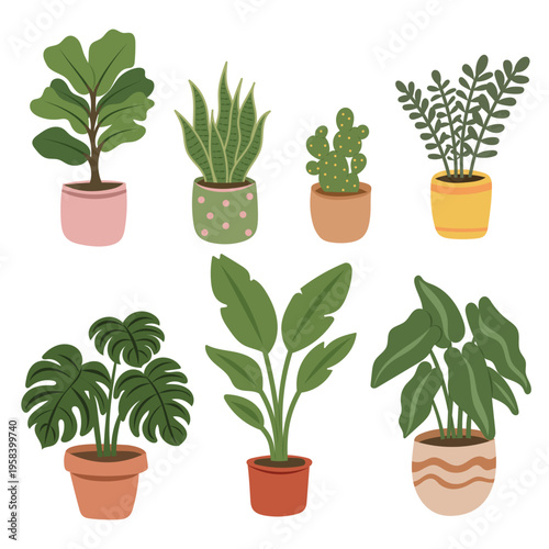 Indoor houseplant collection with monstera, succulent and cactus