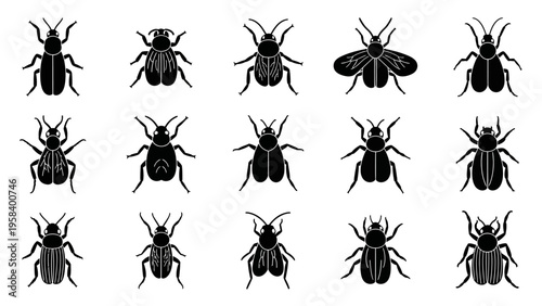 Collection of Black Insect Silhouettes Featuring Various Beetles and Bugs for Design and