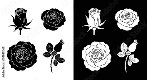 Set of vector illustrations of roses and rose hips in black and white, for graphic design elements, floral motifs, and decorative purposes