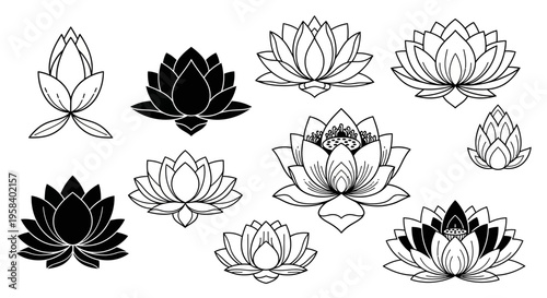 Collection of lotus flower illustrations in various artistic styles, offering a diverse range of floral designs and elegant botanical artwork for creative projects