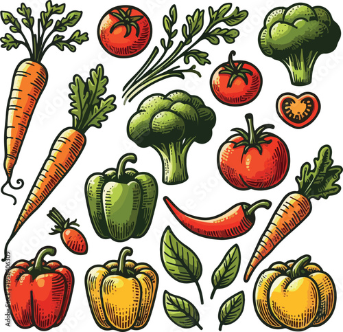 Vegetable doodle collection hand drawn vector illustration isolated on white background