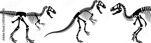 Dinosaur skeleton silhouette set, prehistoric fossil bones of theropod raptor for archaeology and paleontology education concept