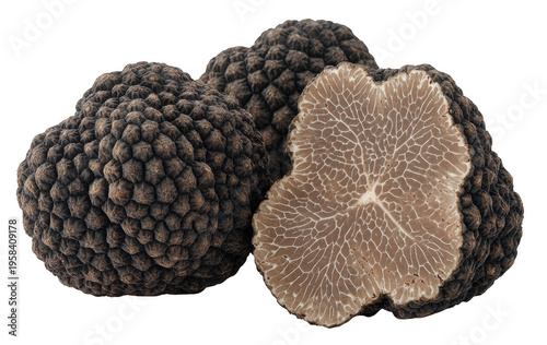Truffle mushrooms fungi food isolated on a transparent background