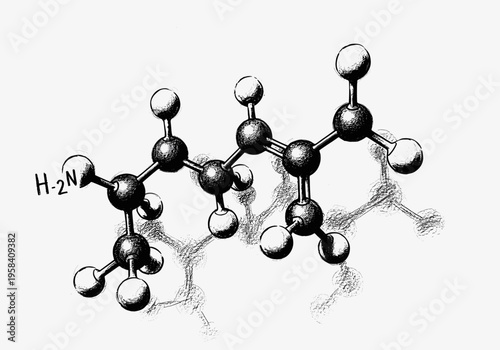 Ball and stick model of the amino acid valine molecule structure