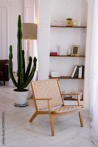 Modern minimalist living room interior with a wooden lounge chair, large cactus, and stylish decor on shelves, perfect for home design and lifestyle content.