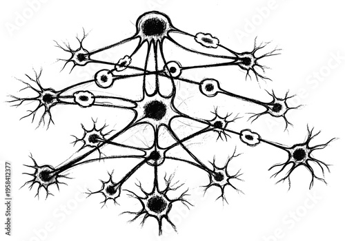 Abstract network of interconnected neurons with branching dendrites and axons