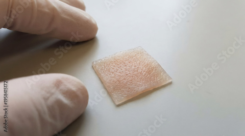 Scientist wearing glove examining artificial skin sample. Bioengineering research and lab experiment for regenerative medicine. Synthetic tissue development for medical testing innovation.