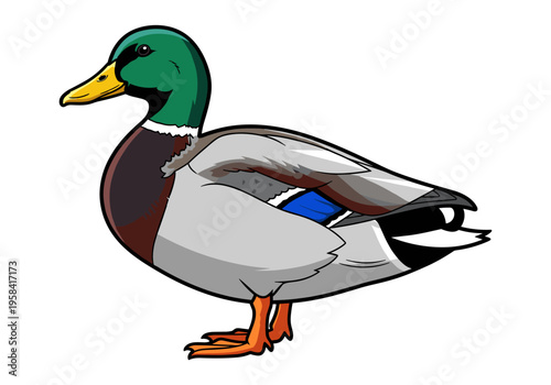 Stylized illustration of a mallard duck with vibrant green head and yellow beak