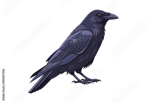 Detailed illustration of a black raven with dark feathers and sharp beak on white background