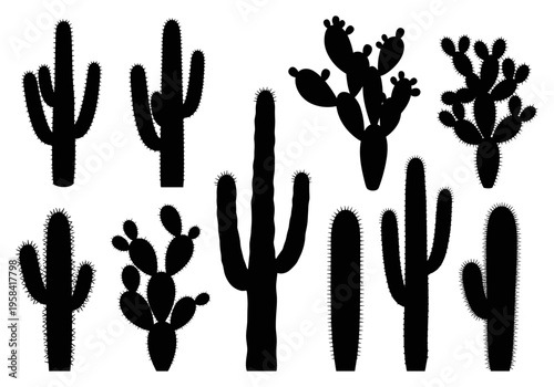 Collection of diverse cactus silhouettes on a clean white background