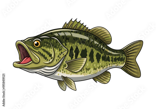 Illustration of a largemouth bass fish with its mouth open, ready to strike