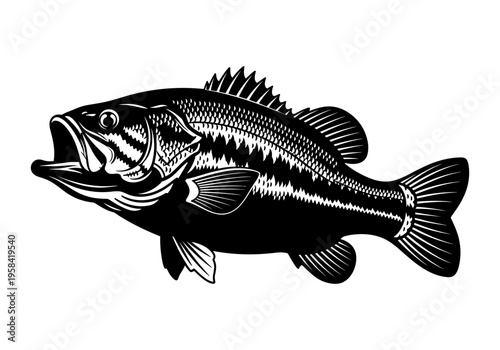 Black and white illustration of a largemouth bass with its mouth open