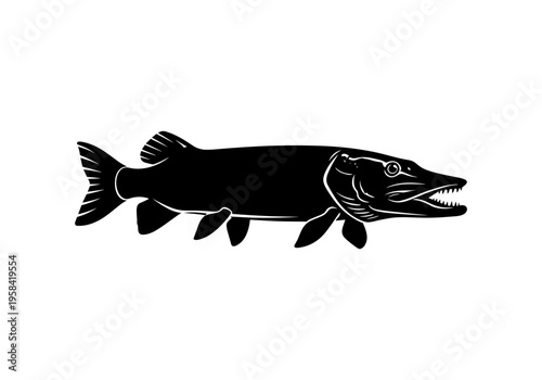 Silhouette of a predatory pike fish with sharp teeth and fins