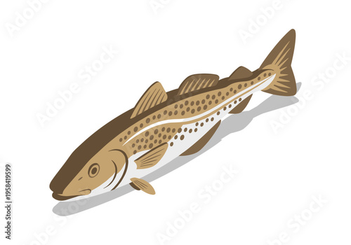 Stylized illustration of a brown trout with distinctive spots and fins on a white background