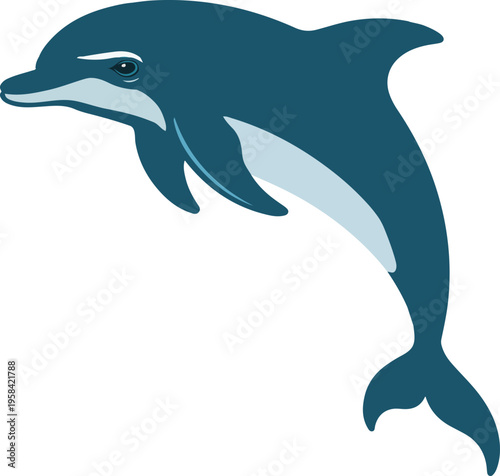 Dolphin Jumping Out of Water on White Background