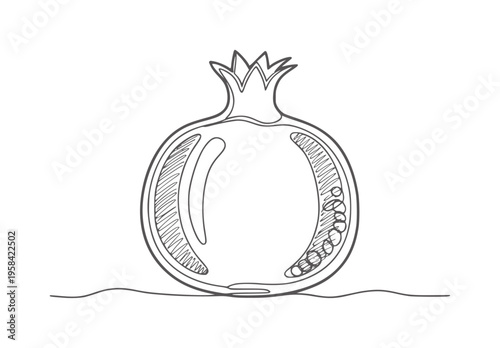 Single line of a halved pomegranate with seeds fruit